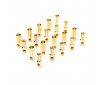 Gold Bullet Connector Set, 5.5mm (10)