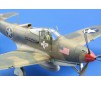 P-400 Air Cuttie Weekend Edition  - 1:48