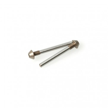 Pivot Pin: Screw Type 25mm  pr