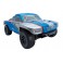 painted body shell S10 SC Blue/Silver