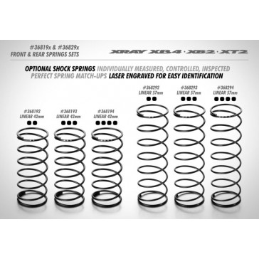 REAR SPRING-SET L:57MM - 4 DOTS (2)