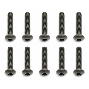 TEAM M3X14MM BHCS (10)