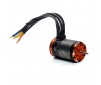 Firma 2800kv BL Sensored Crawler Motor