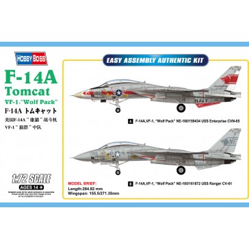 F-14A Tomcat 1/72