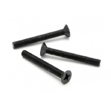 Flat Head Screw M3 X 25Mm (10 Pcs)