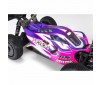 TLR Tuned TYPHON 1/8 4WD Roller (Pink/Purple)