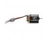 Firma 16T Rebuildable 5 Pole Brushed Crawler Motor