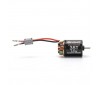 Firma 35T Rebuildable 3 Pole Brushed Crawler Motor