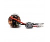 Firma 55T Rebuildable 3 Pole Brushed Crawler Motor