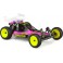 Team Associated RC10B2 Authentic Body (n°6133)