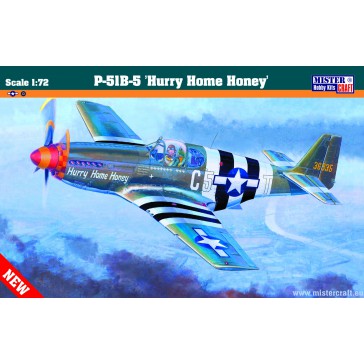 P-51B-5 HURRY HOME             1/72