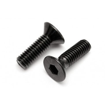 Flat Head Screw M6X16Mm (2Pcs)