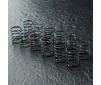 TCR-M Coil spring set (12)