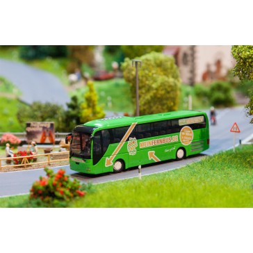 1/87 MAN LIONS COACH BUS MEINFERNBUS (RIETZE)