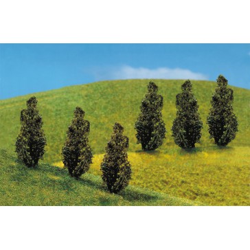 6 PREMIUM THUJA (LEVENSBOOM)