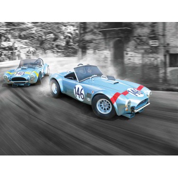 DISC.. 1/32 SHELBY COBRA 289 - 1964 TARGA FLORIO 2PACK (12/22) *