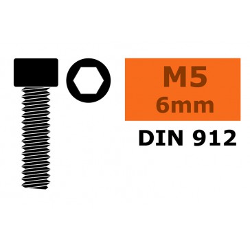 Cilinderkopschroef - Binnenzeskant - M5X6 - Staal (10st)