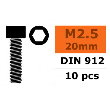 Hex Socket Head Screw - M2,5X20 Steel (10pcs)