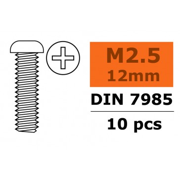 Pan Head Screw - M2,5X12 - Galvanized Steel (10pcs)