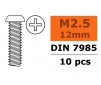 Pan Head Screw - M2,5X12 - Galvanized Steel (10pcs)