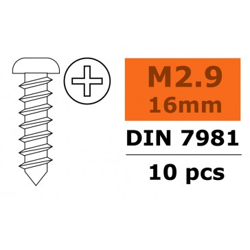 Self-tapping Pan Head Screw - 2,9X16mm - Galvanized Steel (10pcs)