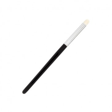 Dry Brush (Small)