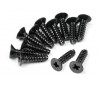 TP FLAT HEAD SCREW M2.6X10MM (12PCS)