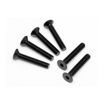 Flat Head Screw M5X30Mm (Hex Socket/6Pcs)