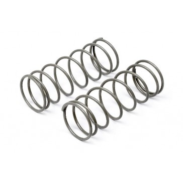 Big Bore Shock Spring (Gray/60Mm/74Gf/2Pcs)