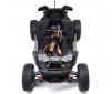 RZR Rey, 1/10 4WD Brushless RTR, Polaris