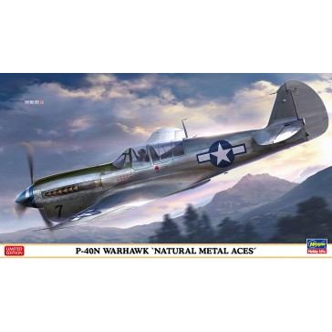 1/48 P-40N WARHAWK NATURAL METAL ACES 07516 (2/23) *