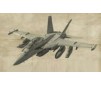 1/48 EA-18G GROWLER (?/23) *