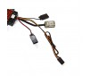 FIRMA 70A Brushed Smart WP ESC