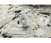 COFFRET CADEAU "Millennium Falcon" - 1:72