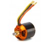 Avian 5065-450Kv Outrunner Brushless Motor