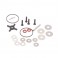 Gear Diff Rebuild Kit - L1R