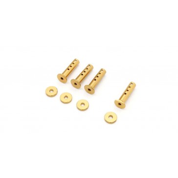 Body Mount EP Fantom 4WD - Gold