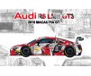 1/24 AUDI R8 LMS GT3 MACAU 2015 n°30