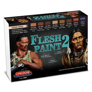 Flesh Paint Set 2(6 colors & 2 pig)