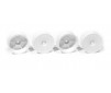 24mm Wheels Starburst Aerodisk White Extra Hard (4)