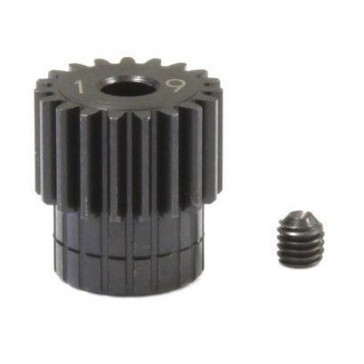 Pinion Gear 19 Teeth - 48Dp (UM319C) Steel