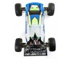 1/8 8IGHT-XTE 4WD Sensored Brushless Racing Truggy RTR