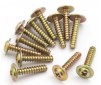 Flange Head Self Tapping Screws PWTHO2.6*12mm