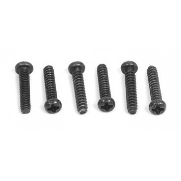 BUTTON HEAD SCREW 2X10mm (6PCS)