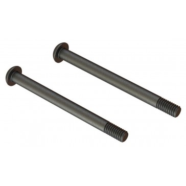 Screw Hinge Pin M4x48mm (2)