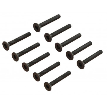 Flat Head Screw M1.6x12mm (10pcs)