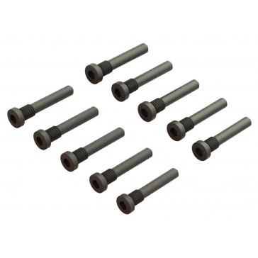 Step Screw M2.5x16mm (10pcs)