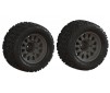 dBoots 'Katar' Tire Set Glued (2)