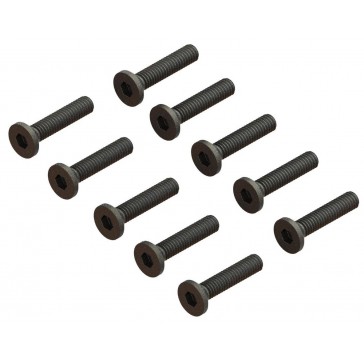 Flat Head Screw M2.5x12mm (10pcs)