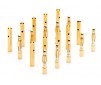 Connector: Gold Bullet Set 2mm (10)